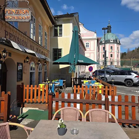 Gæstehus - Restaurant U Zamku