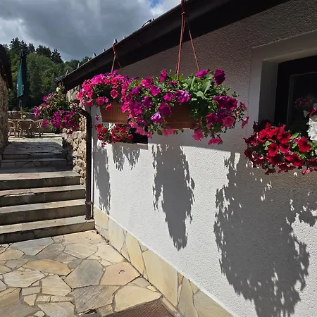Casa de hóspedes - Restaurant U Zámku 3*