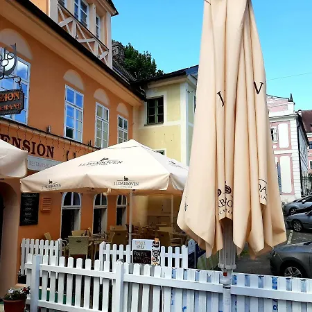 Gasthof - Restaurant U Zámku