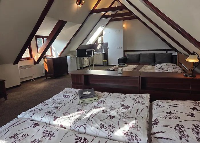 Penzion - Restaurant U Zámku 3*